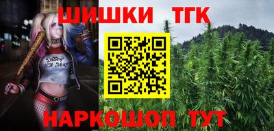 твердый Будённовск